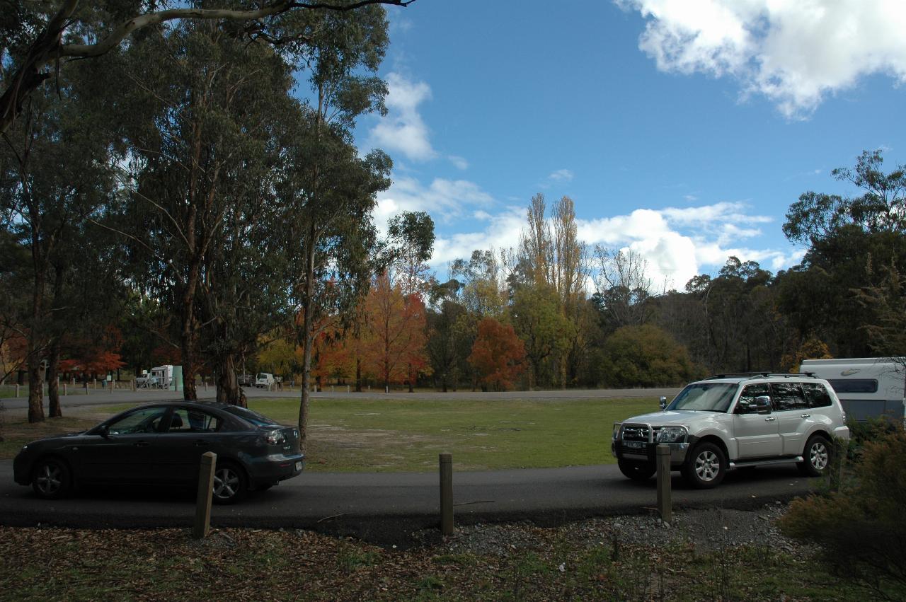 Vehicles on circular drive, with autumn tonings in distant trees