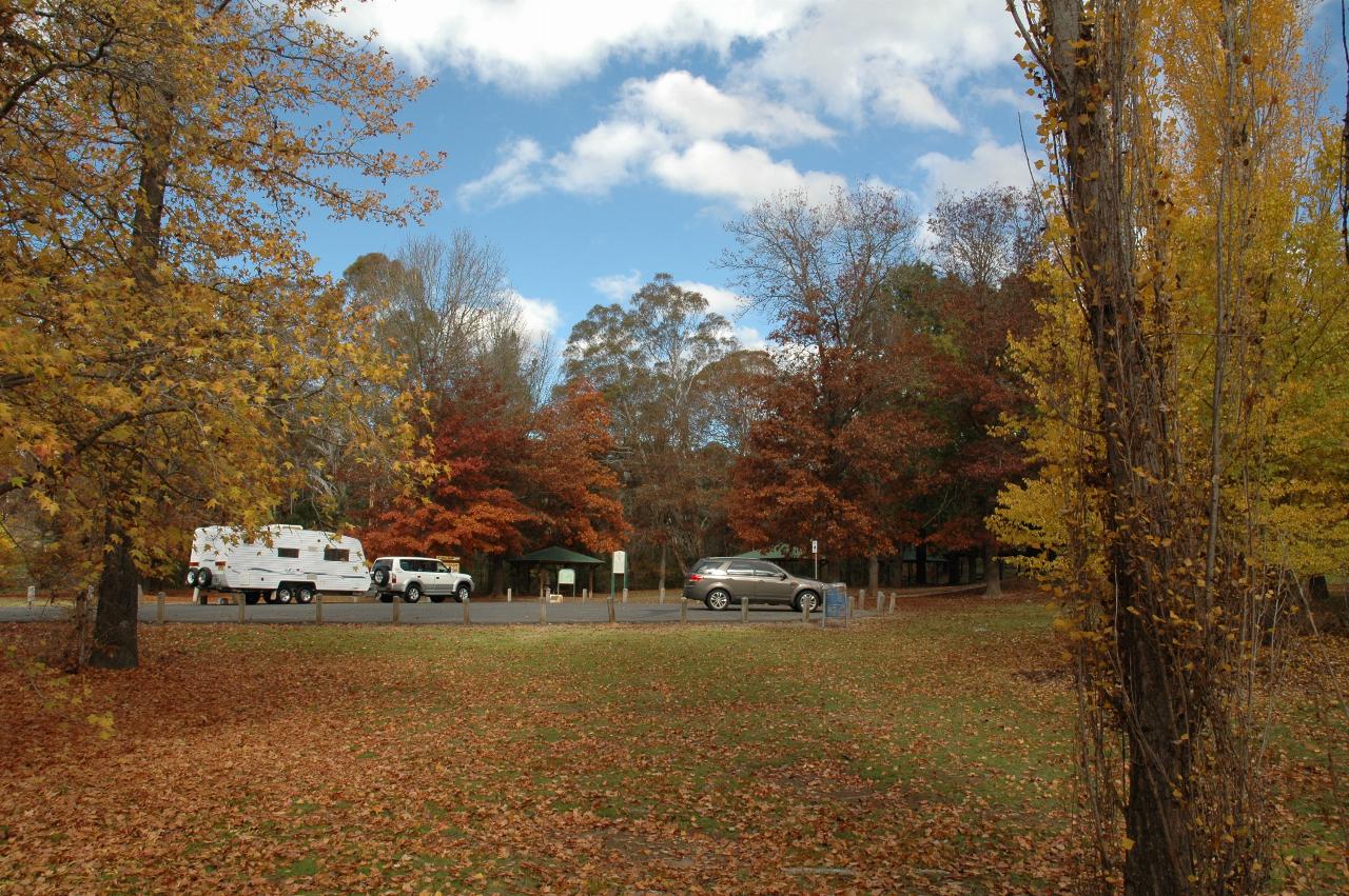 Autumn colours at the rest area facilities