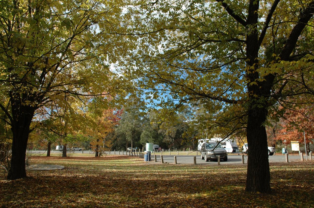 Autumn colours at the rest area facilities