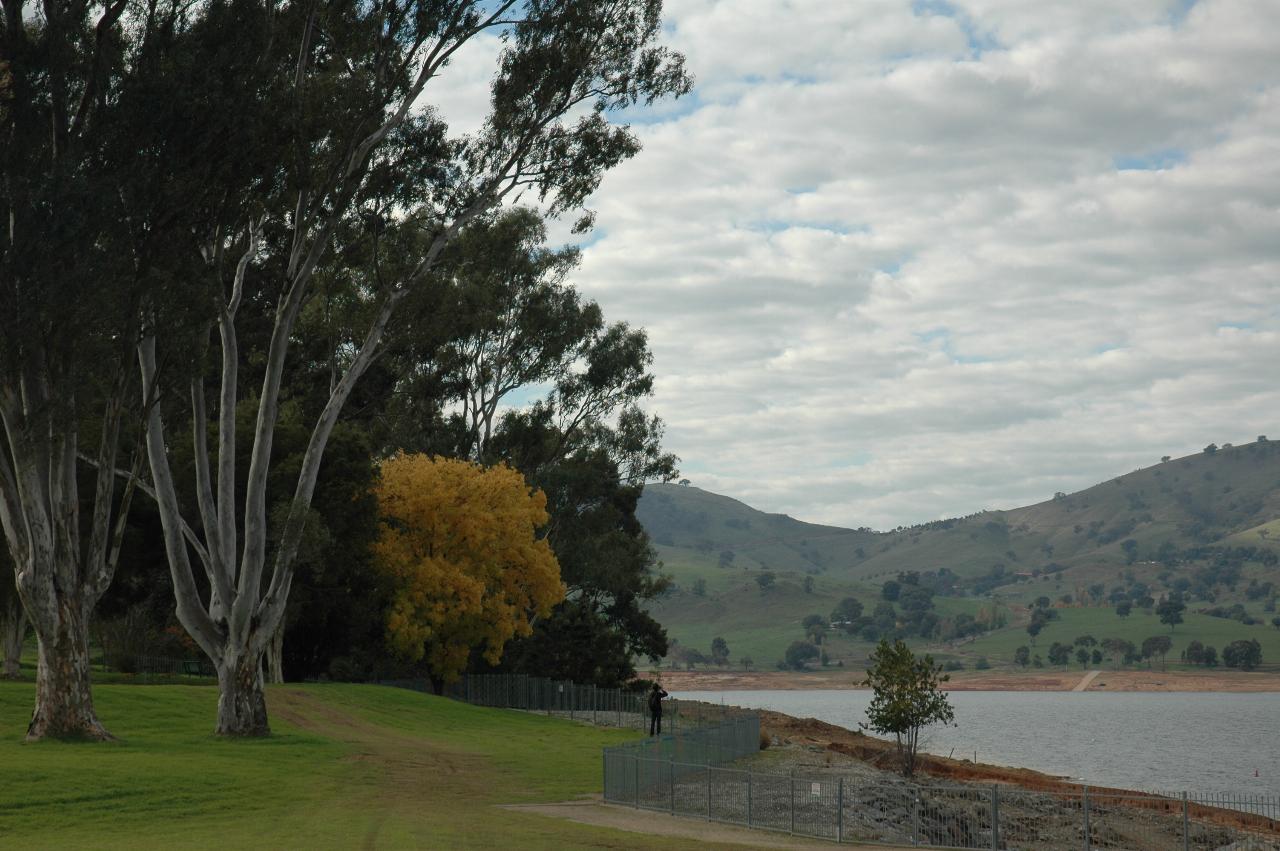 Trees, low water level in lake, across to hills