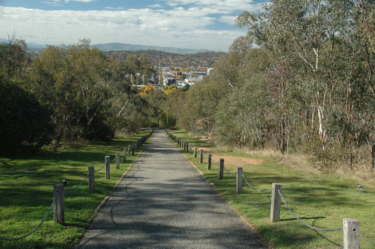 Path between eucalypts, leading to view of urban area and distant hills