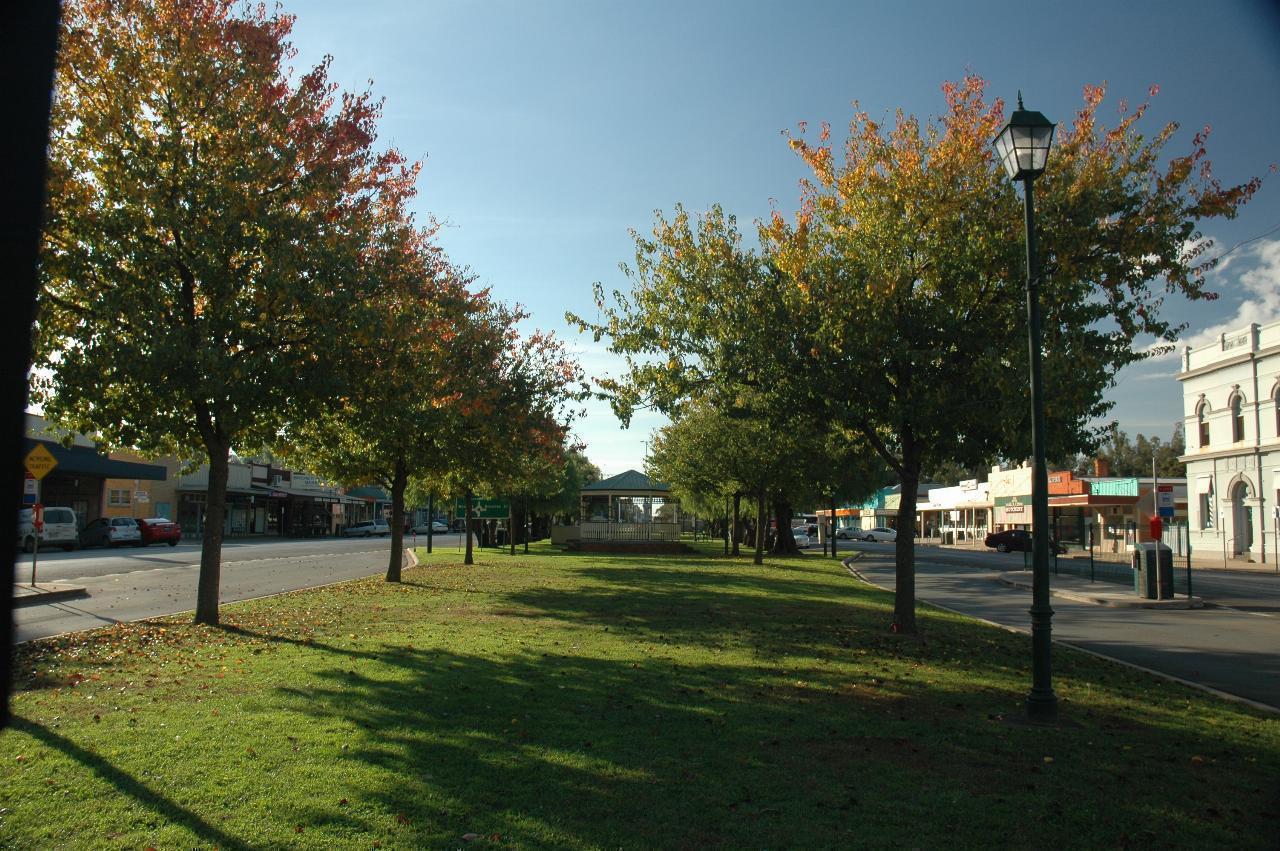 Wide grassy strip in middle of road, trees along the edges, buildings on the other side of the road