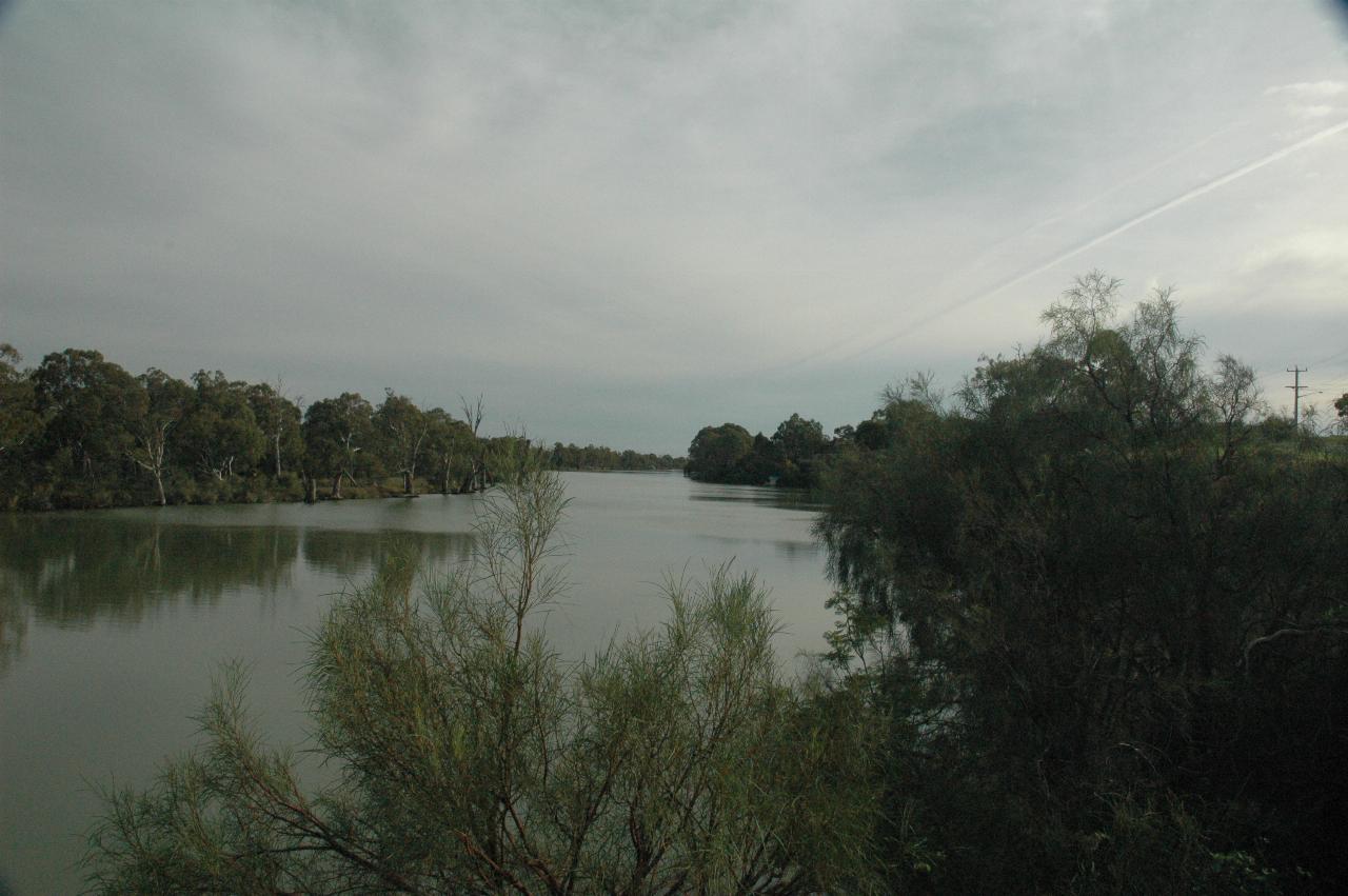 View down a river, trees both sides, and grey sky