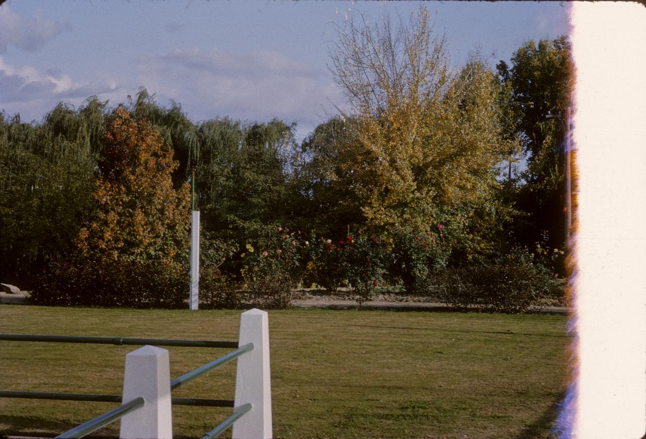 Park setting with low trees showing autumn colour