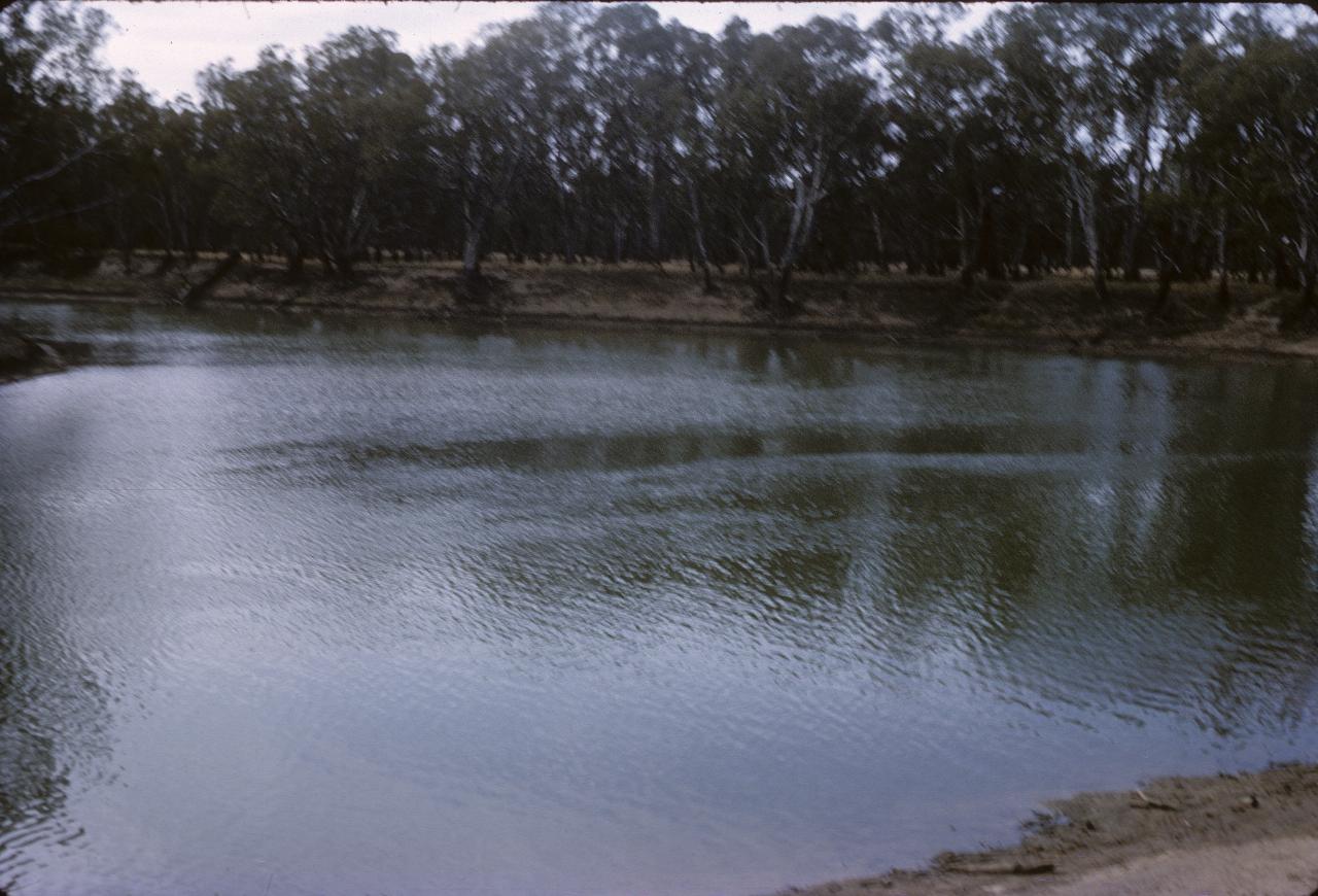 A bend in a river with sandy banks and trees