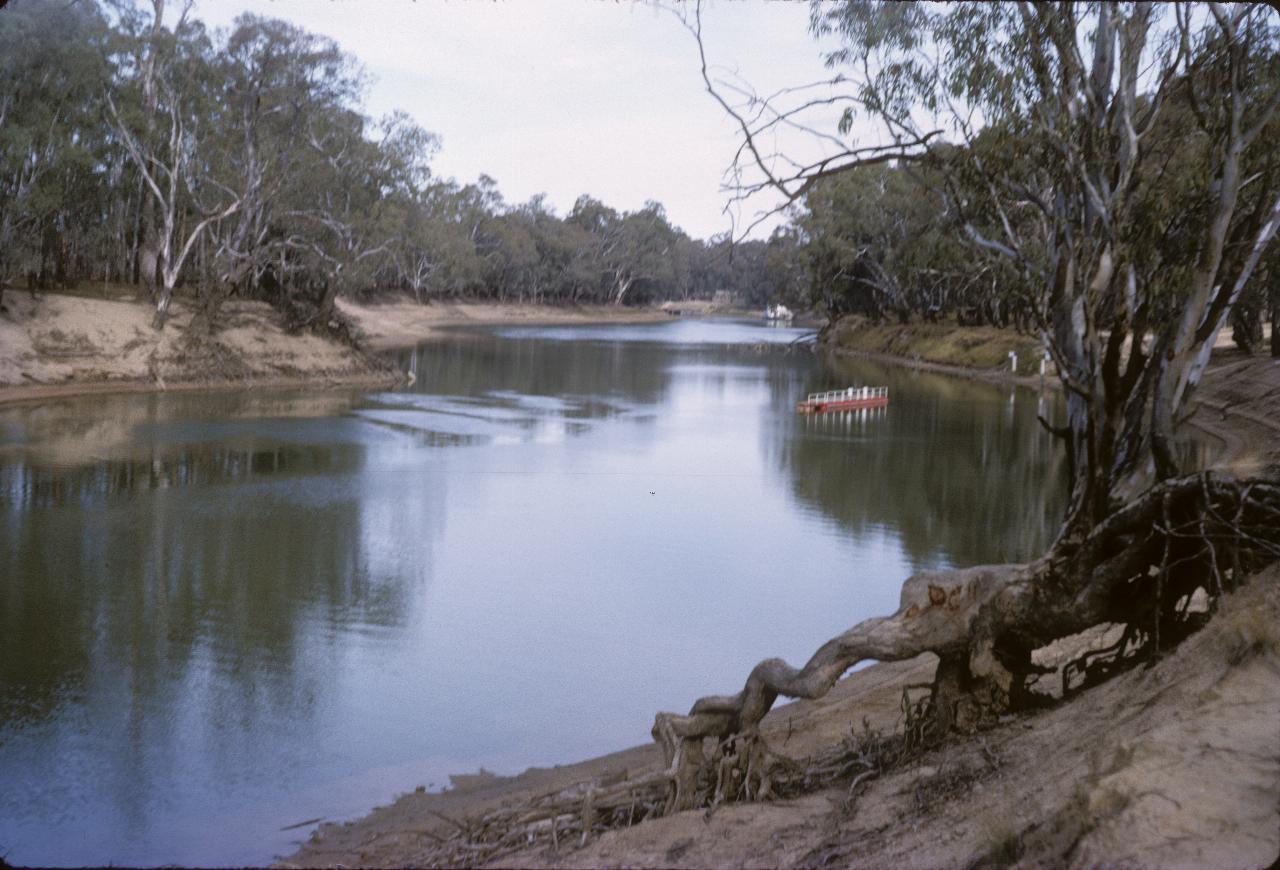 A stretch of river with sandy banks with trees, and a pontoon in the river