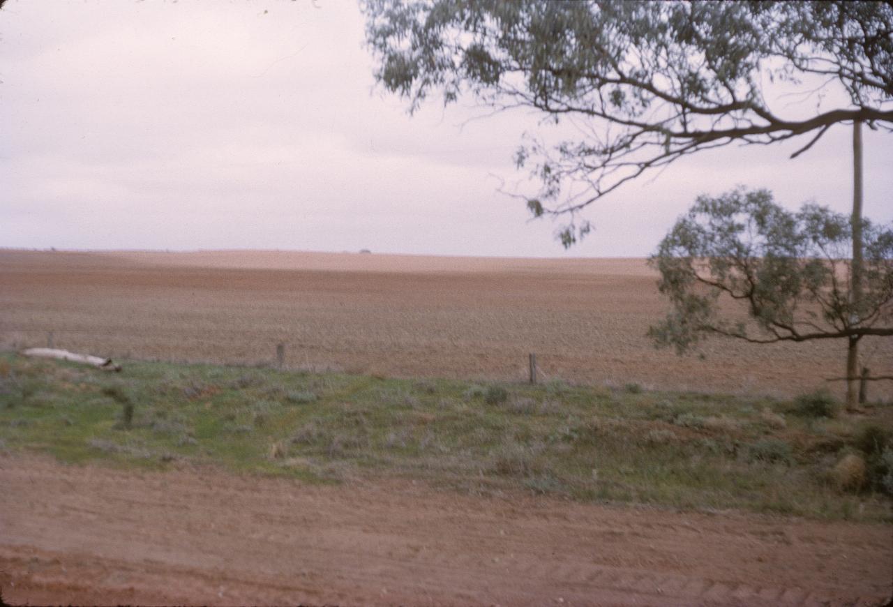 Ploughed field with red soil