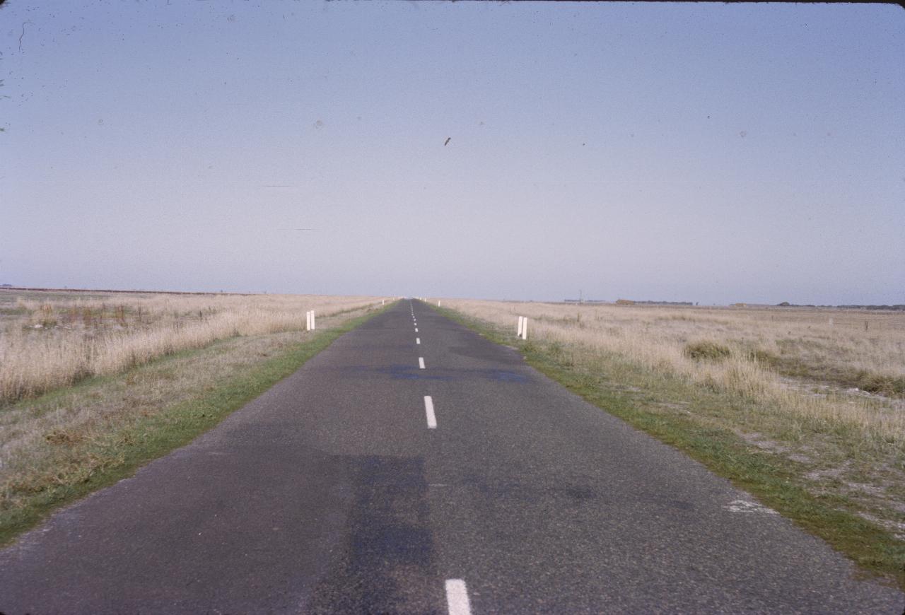 Flat road disappearing in the distance amidst flat land