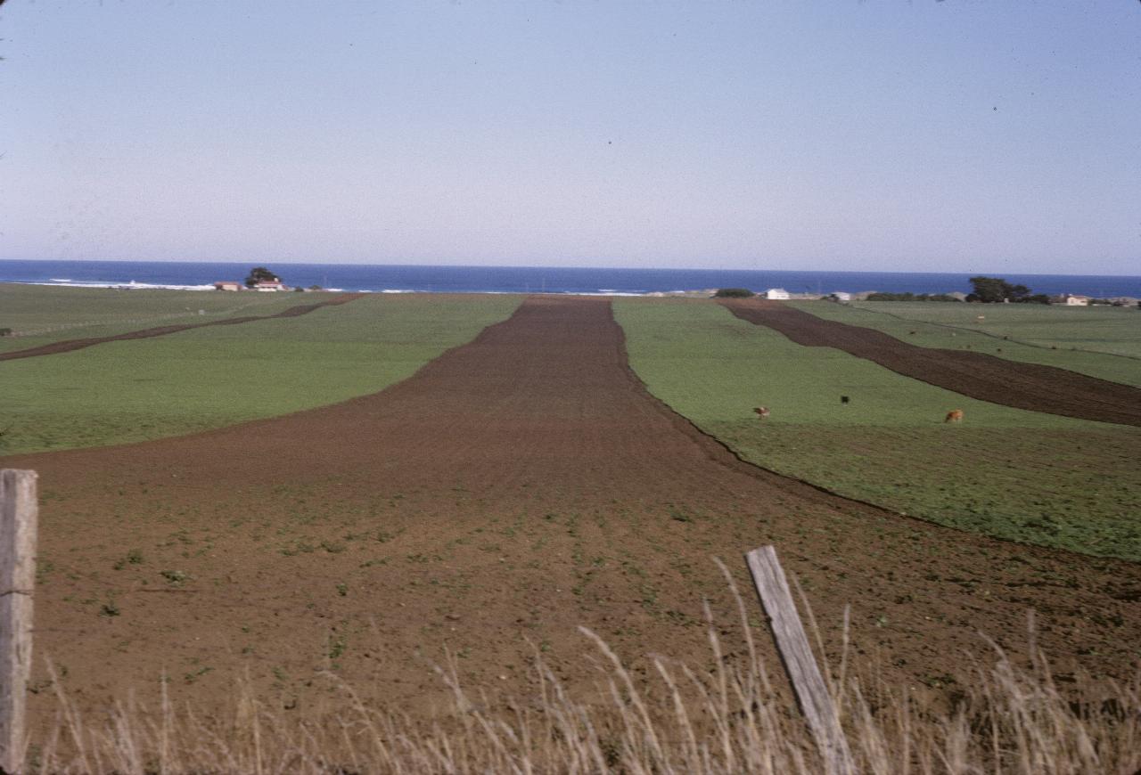 Tilled and green stripes heading towards distant beach