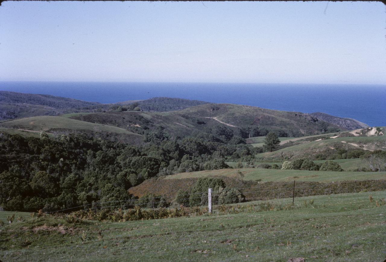 View over gentle hills with trees and grass to the ocean beyond