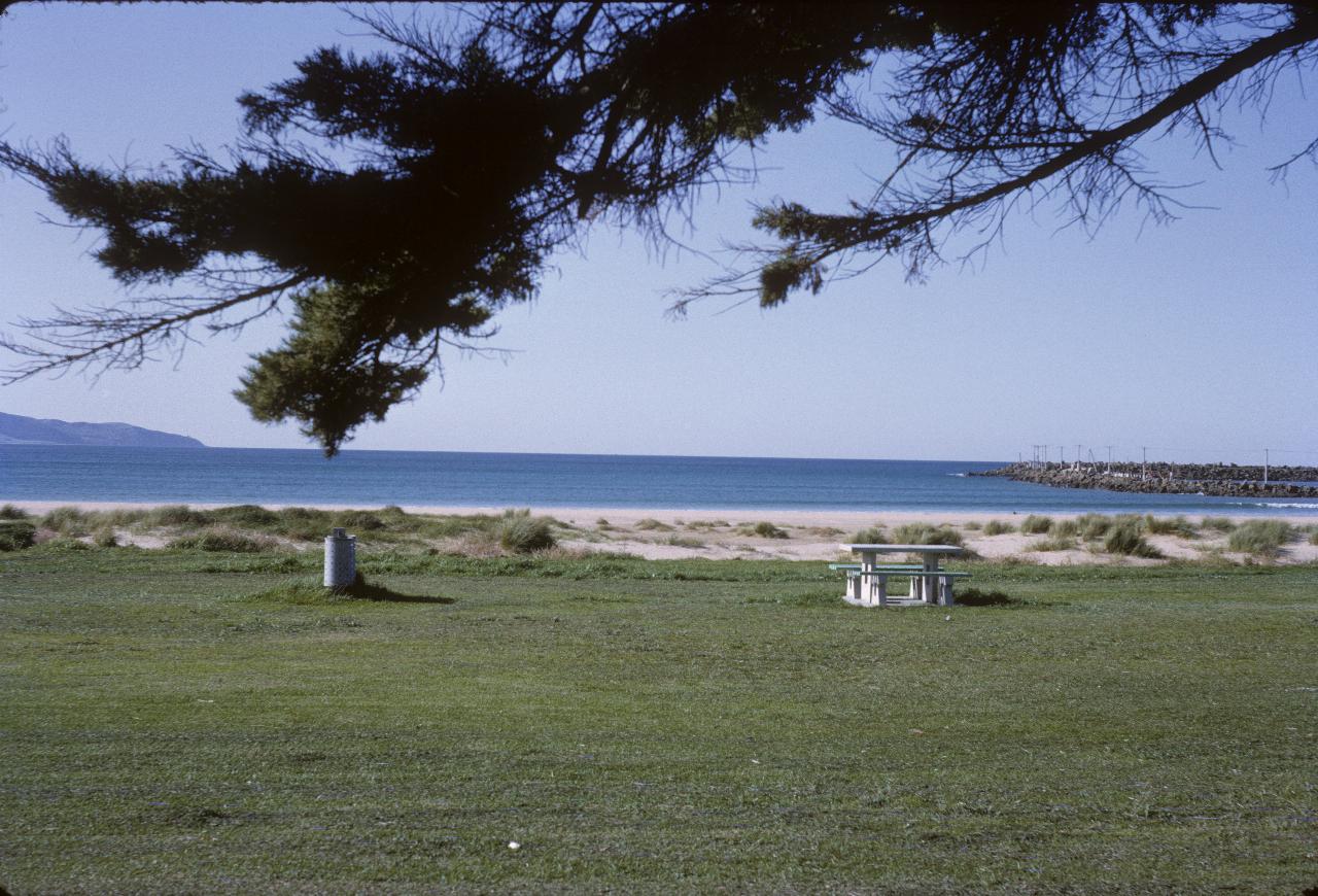 Looking under pine tree across grass to beach and out the bay to Bass Strait