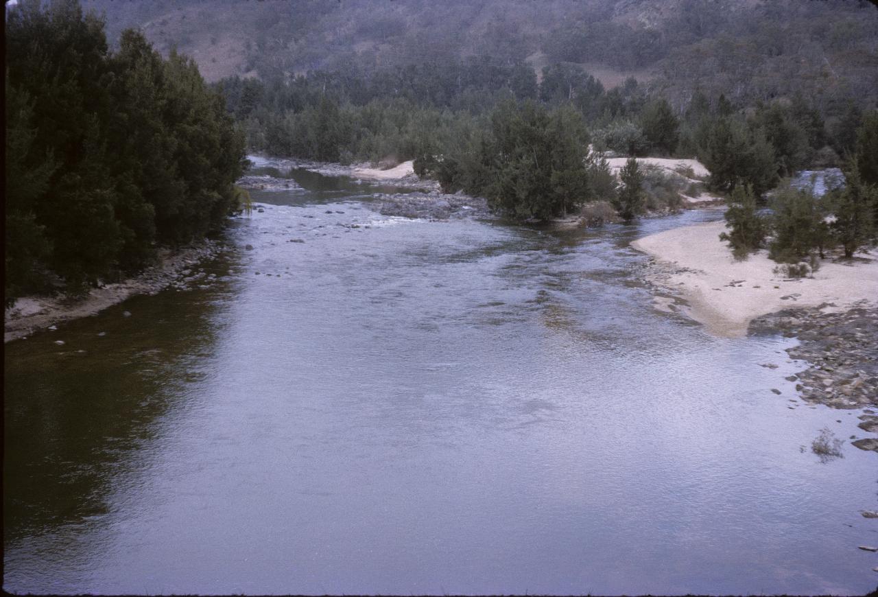 Shallow river flowing past trees and distant hill
