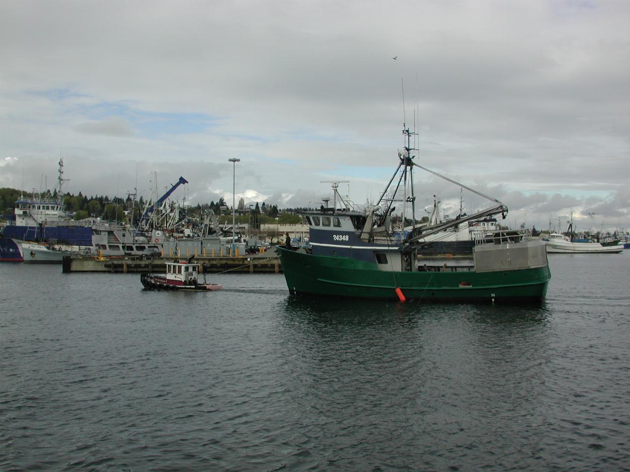 An itsy bitsy tug tows a fishing boat towards Fisherman's Terminal
