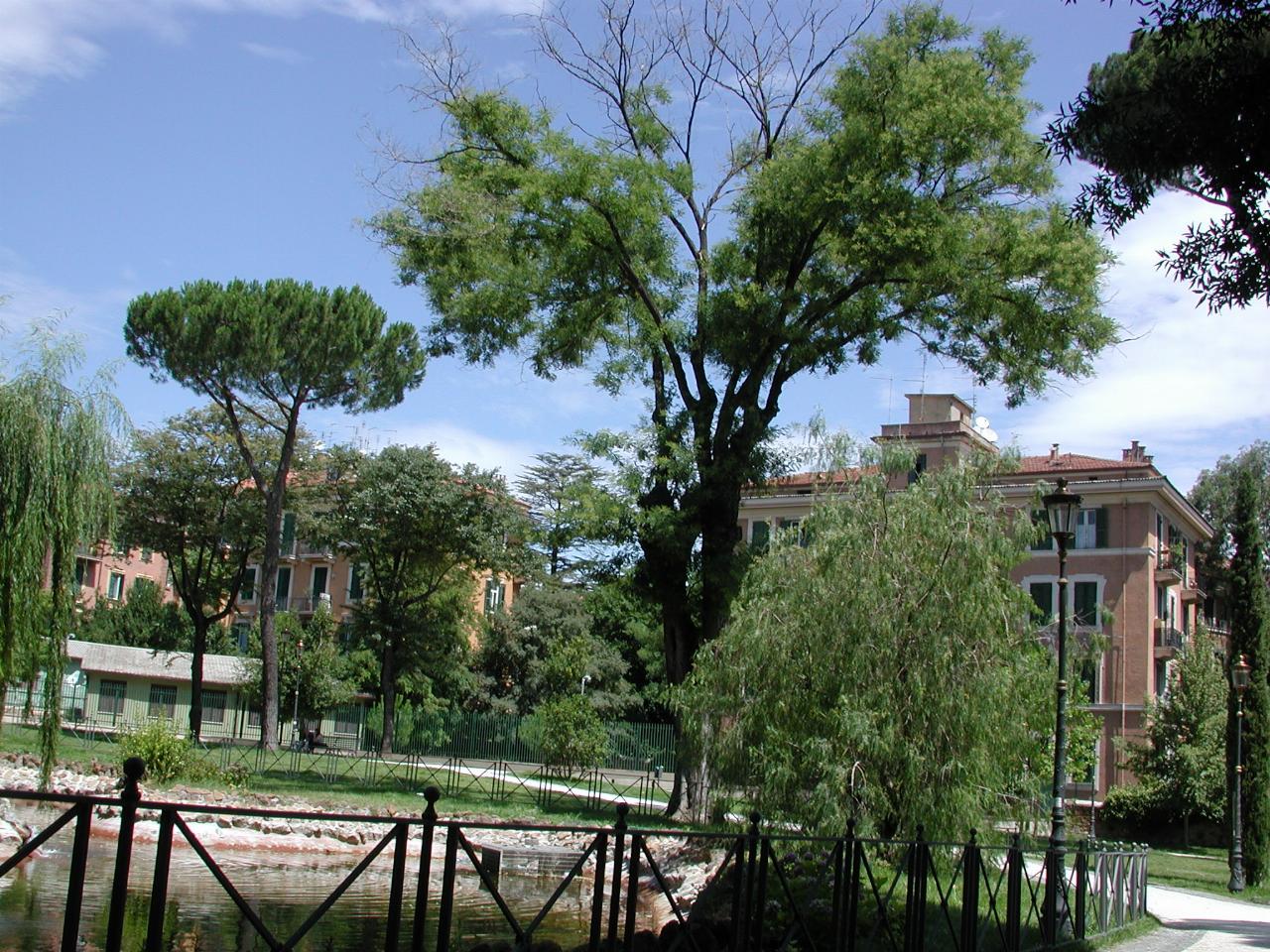 Typical scene in Villa Paganini (across street from Villa Torlonia)