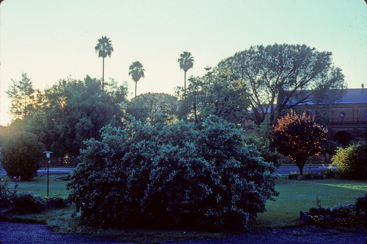 Garden, road and trees, church and sun rise