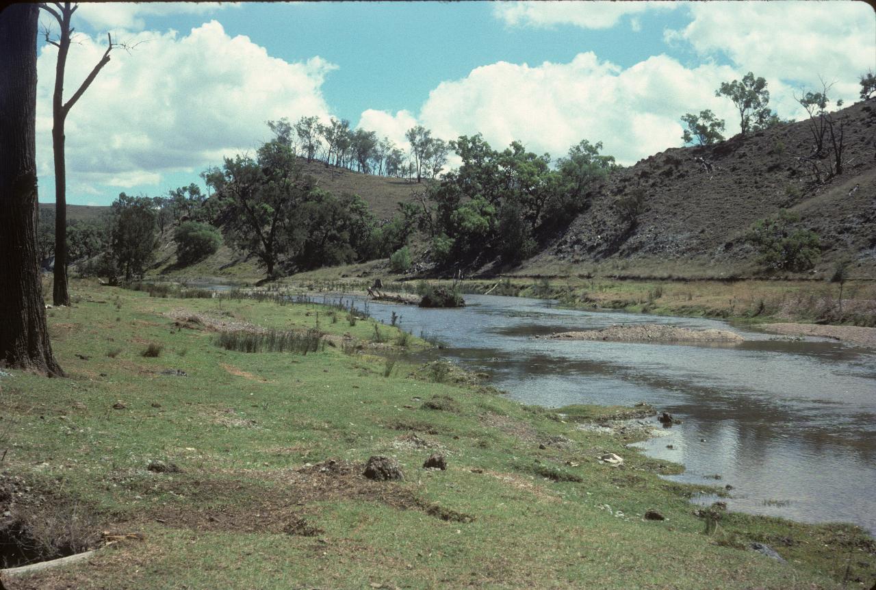 Small stream with gentle hill on far sides, with a few trees