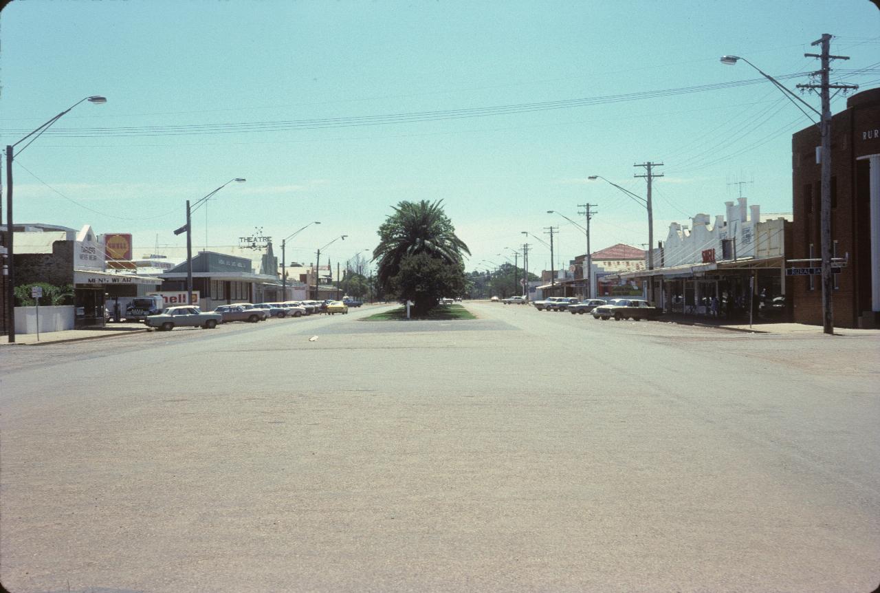 Broad street with trees in the middle, single level shops on edges