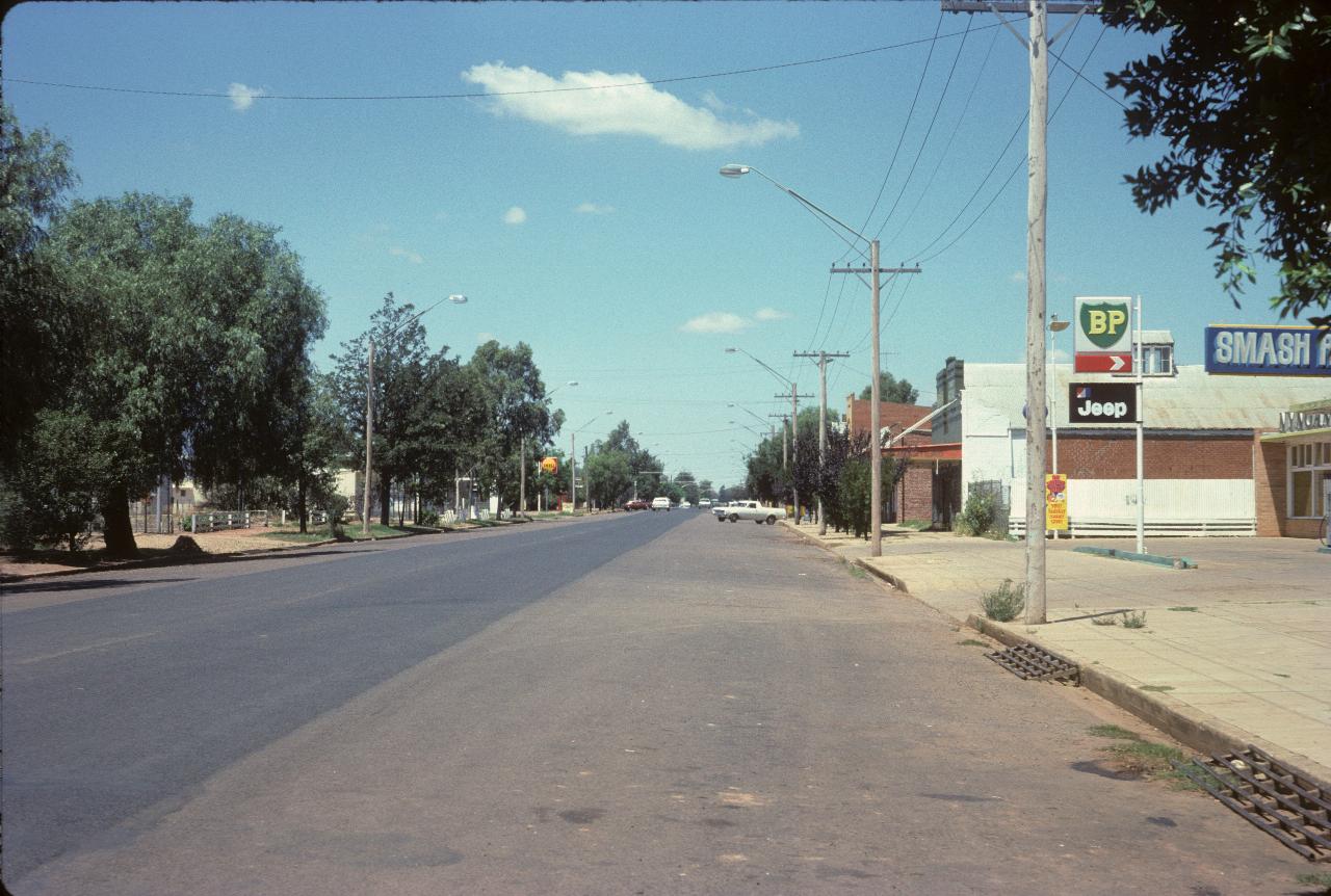 Wide street, trees along far side, shops on right