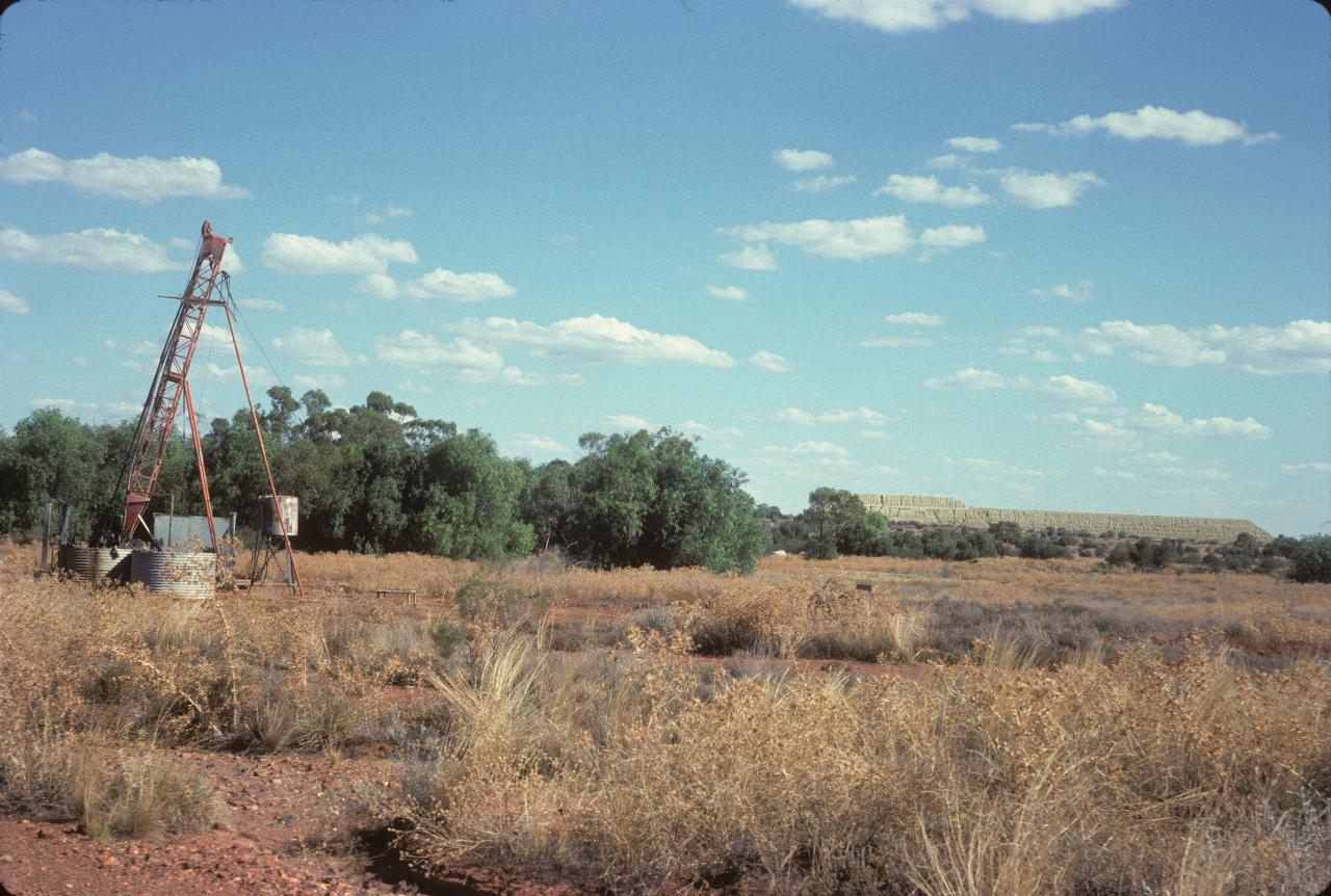 Scrub, an old drill, some trees and a tailings dump in the far distance