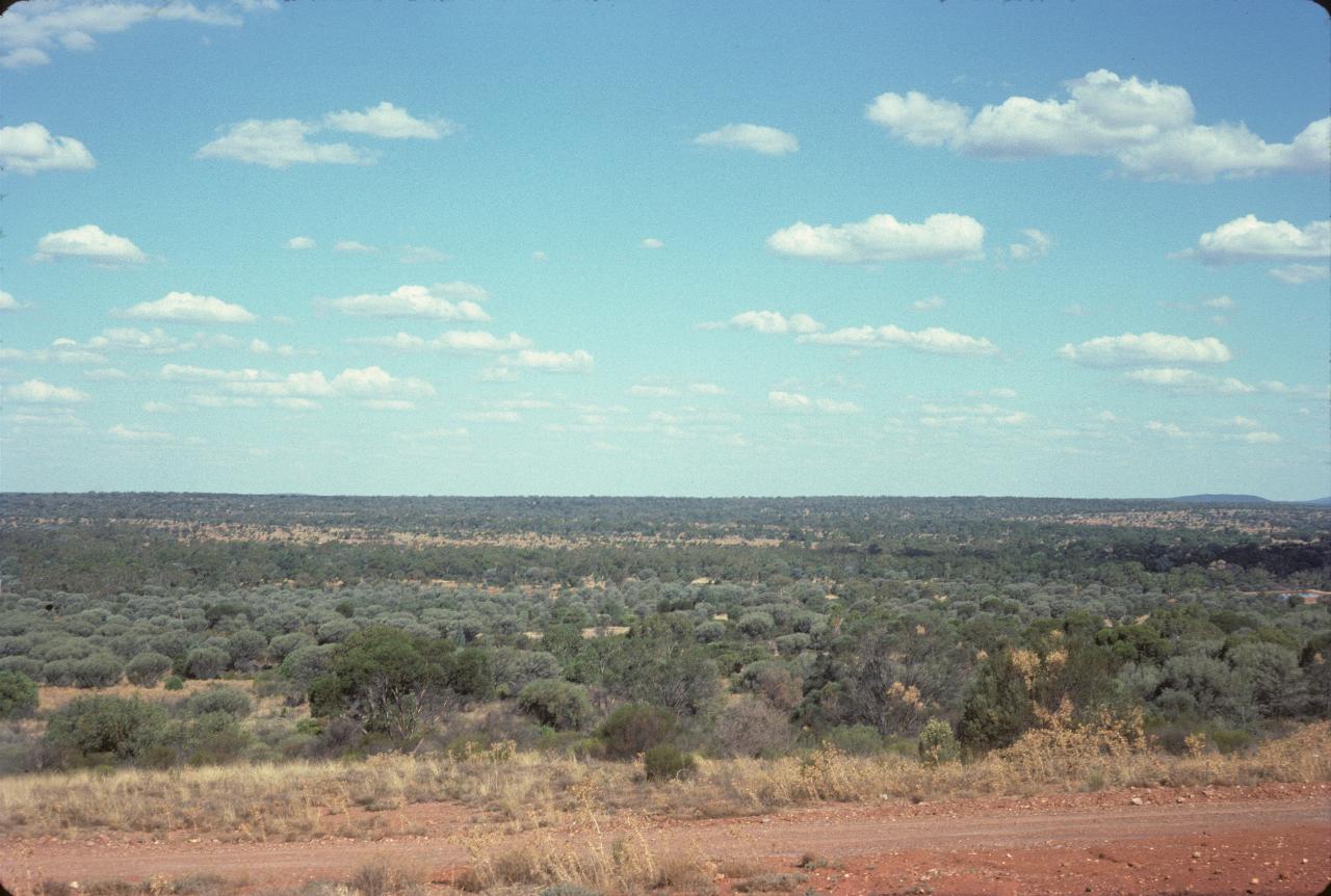 Red soil, with low shrubs extending to mostly flat horizon