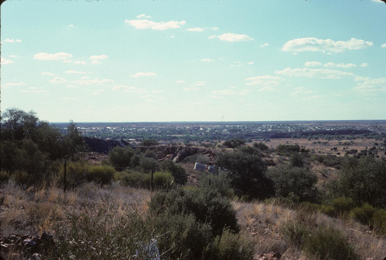 Low shrubs, view to distant town and flat horizon beyond