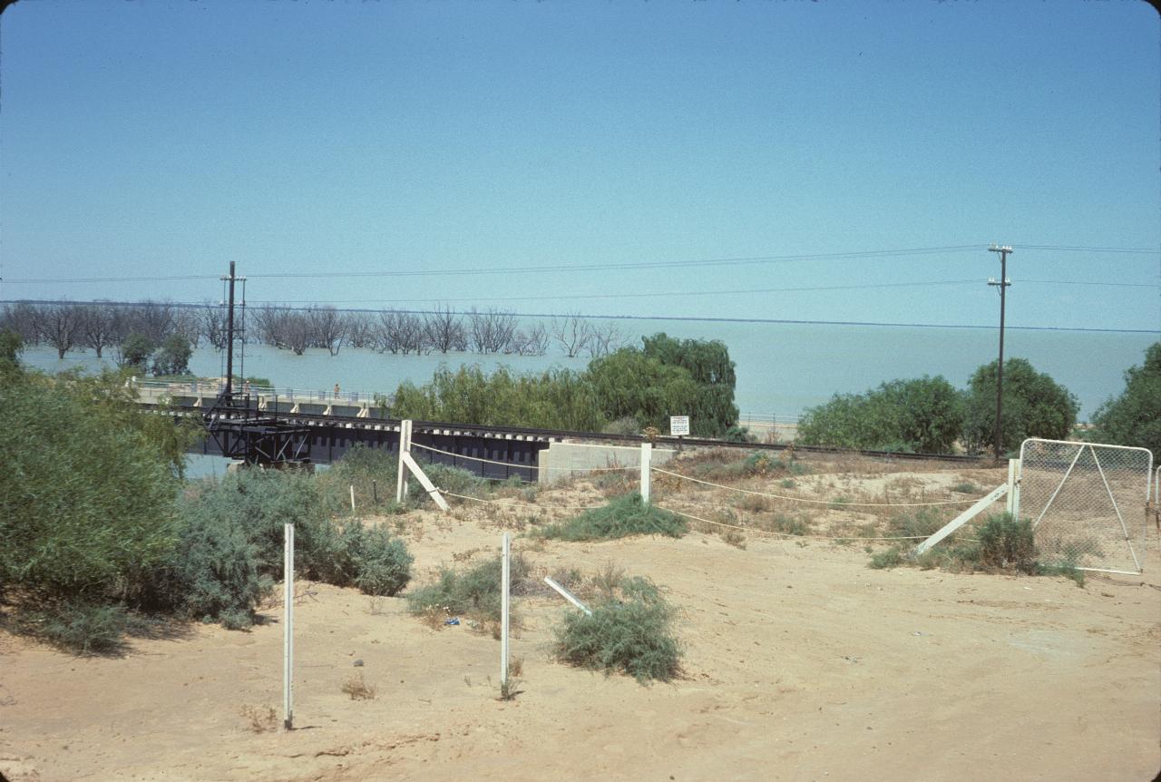 Lake with dead trees, and rail bridge in foreground