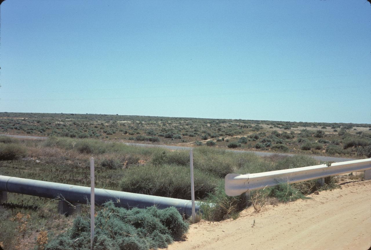 Plane to horizon, with saltbush and pipeline in foreground