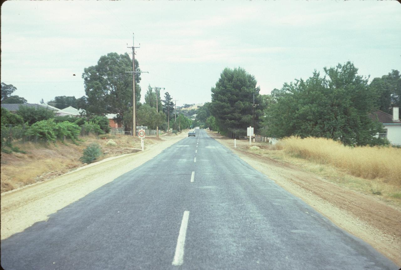 2 lane road through township hidden by trees, with hill in the distance