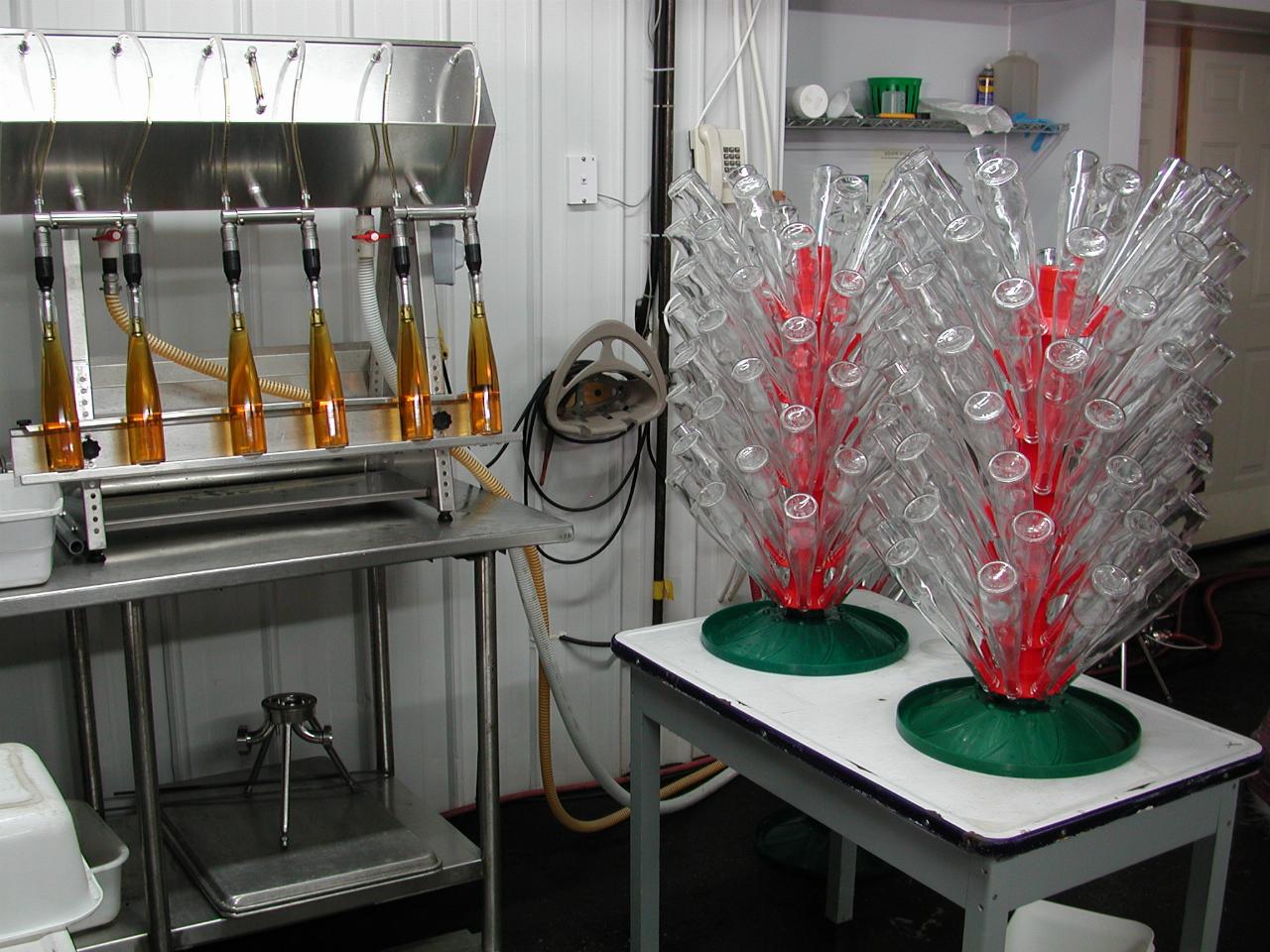Wine bottling operations, including empty bottles awaiting contents