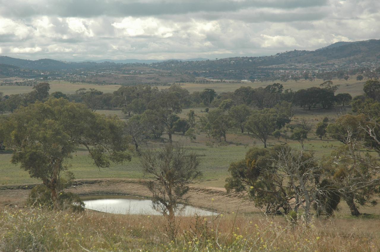 View over farm dam, pasture with trees to distant Canberra suburb