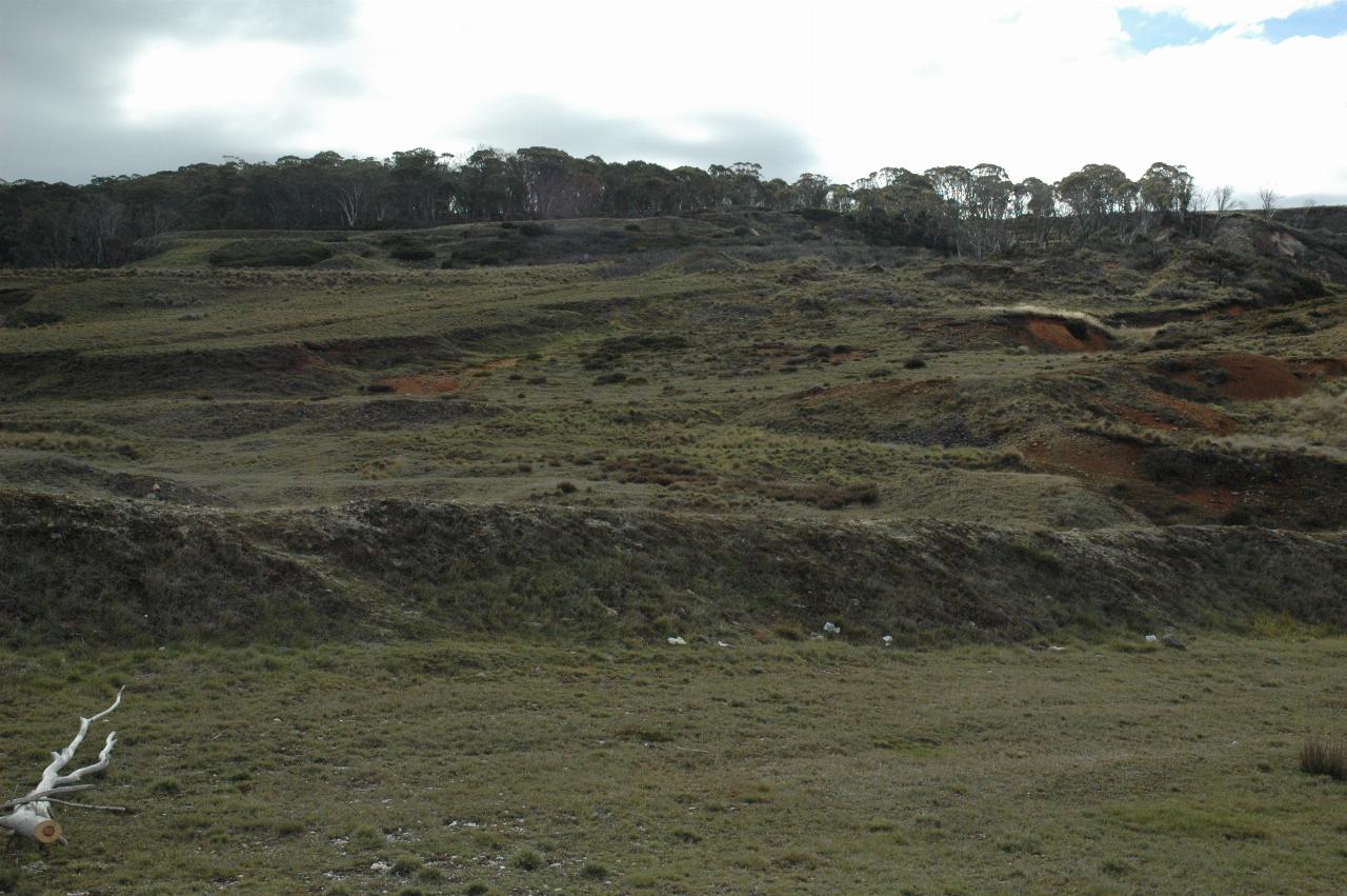 Photo of hillside showing diggings