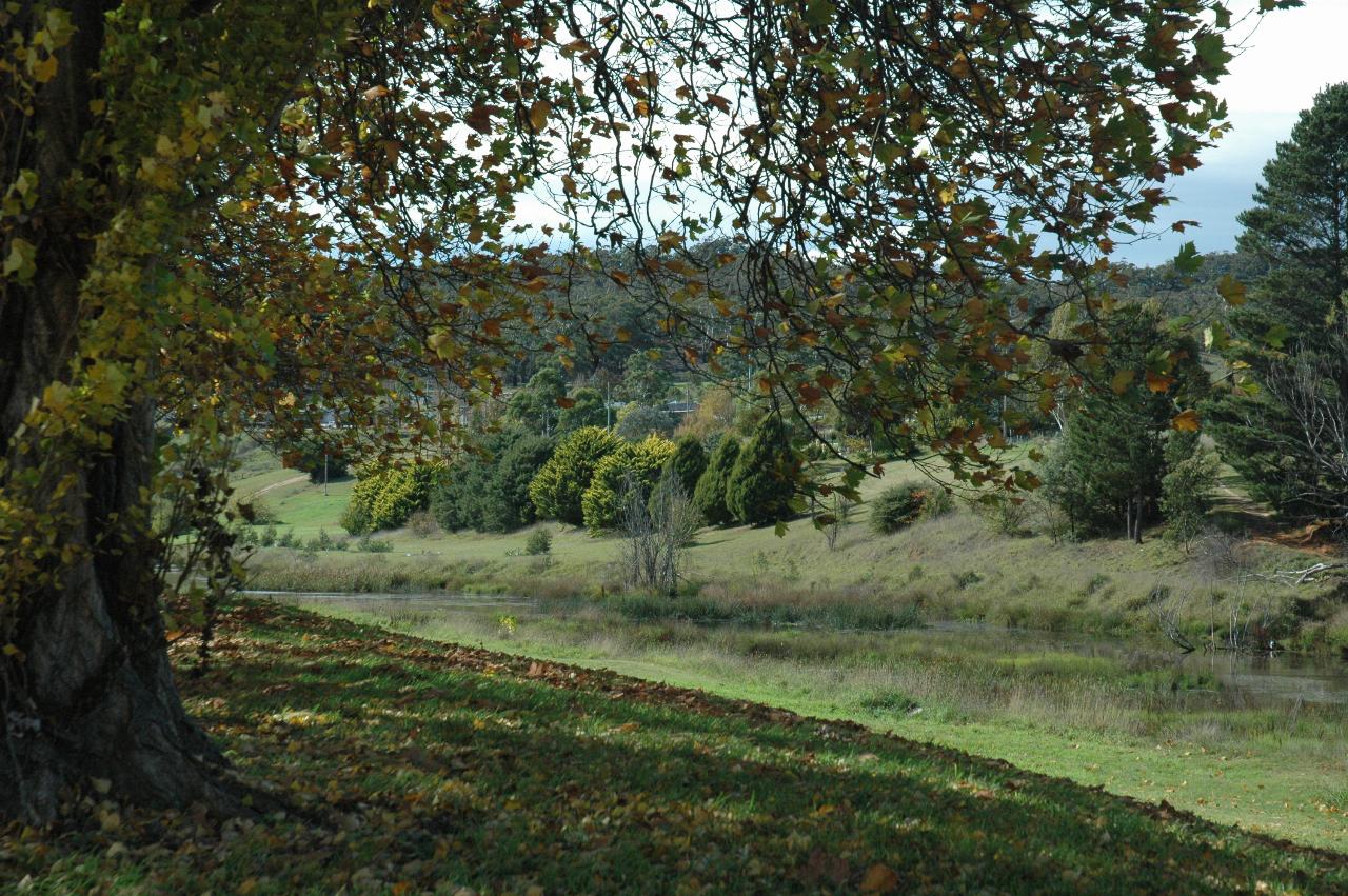 View across river to fields and trees on other side