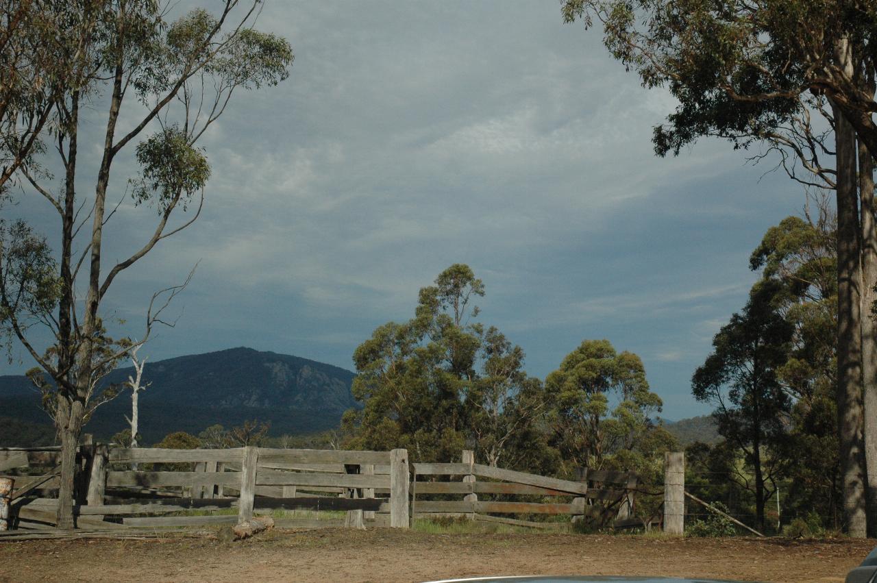 Mountain with stockyard fences in foreground