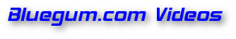 Bluegum.com Video logo
