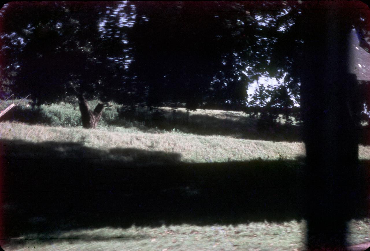 Stepped parkland with trees