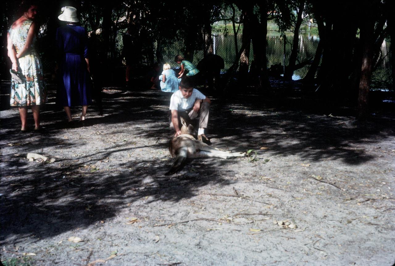 Lindsay with friendly kangaroo at Currumbin Bird Sanctuary