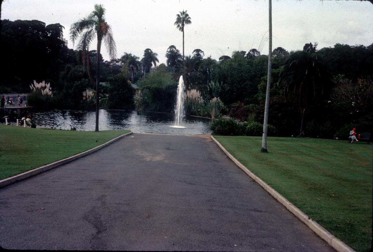 Path leading to pond with water jet fountain