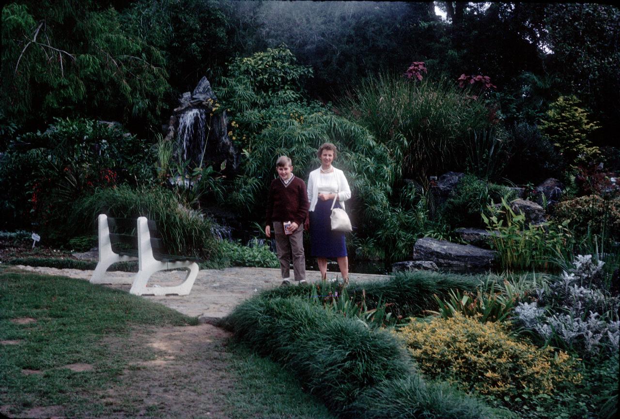 Boy and woman standing amout shrubs in garden