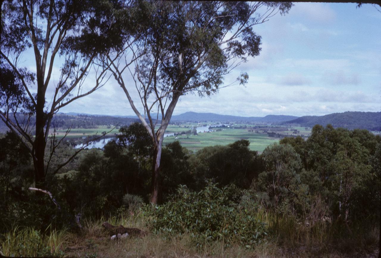 View upstream along river valley, with 2 tall trees in foreground