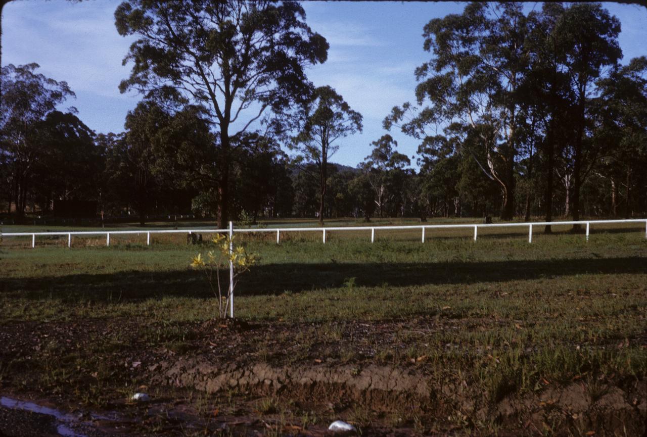 White railing fence with trees beyond