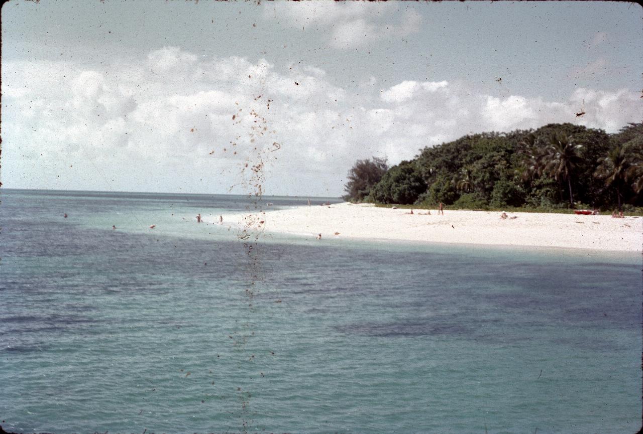 White sandy beach with a few people and vegetation behind