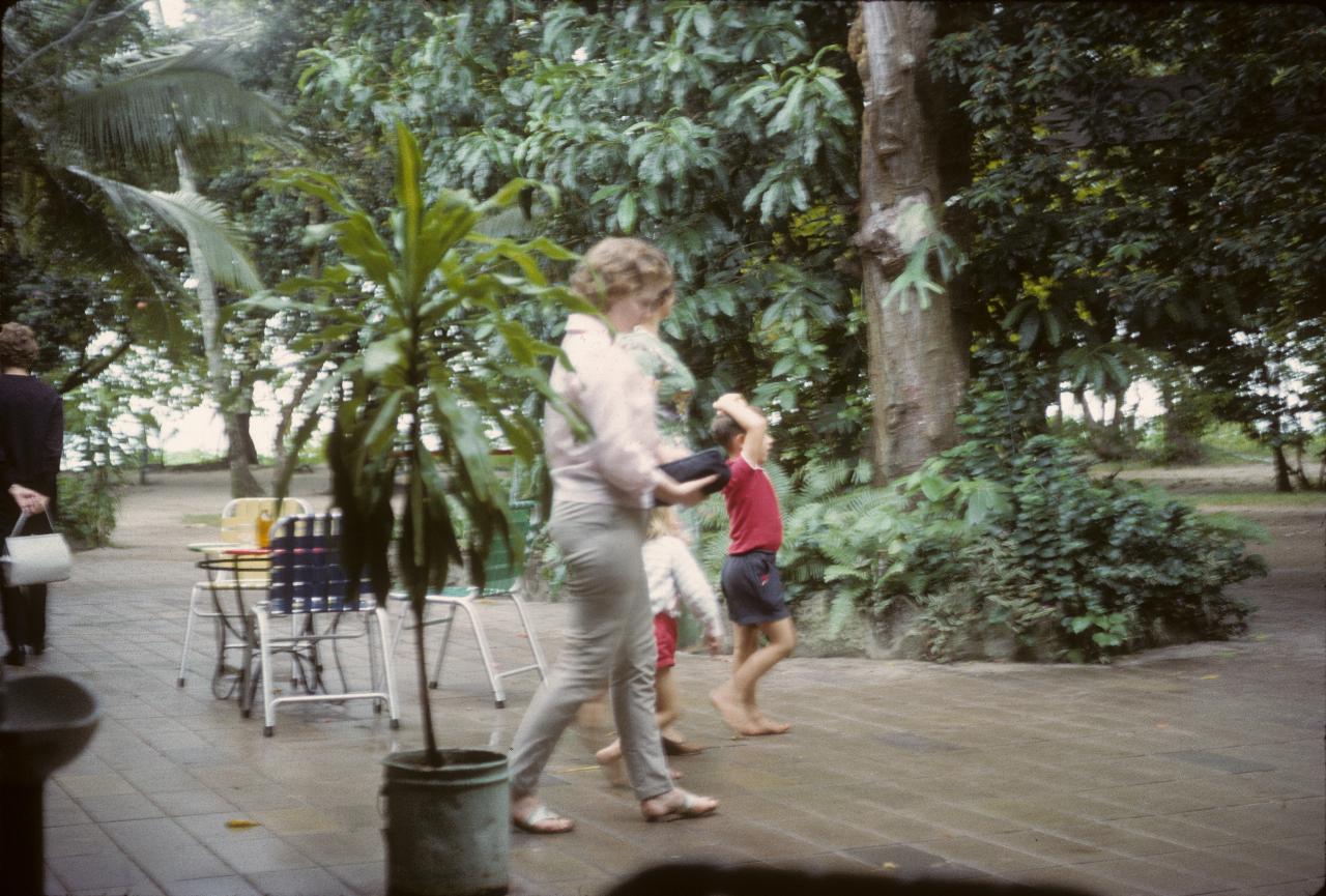 Outdoor eating area with some people and lush vegetation