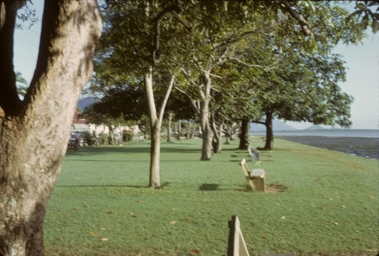 Grassy area with trees, ocean/bay at low tide to the right