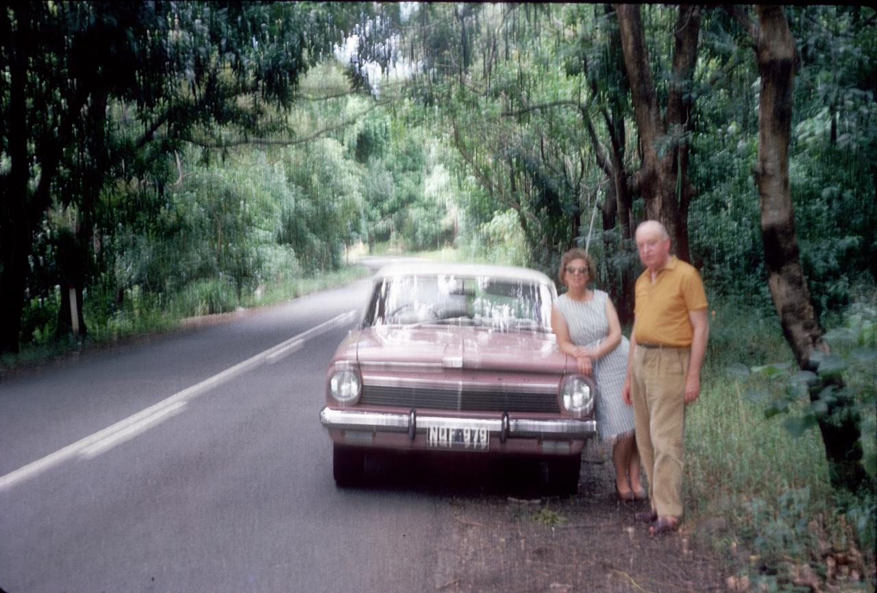 Man and woman standing next to car under trees over road