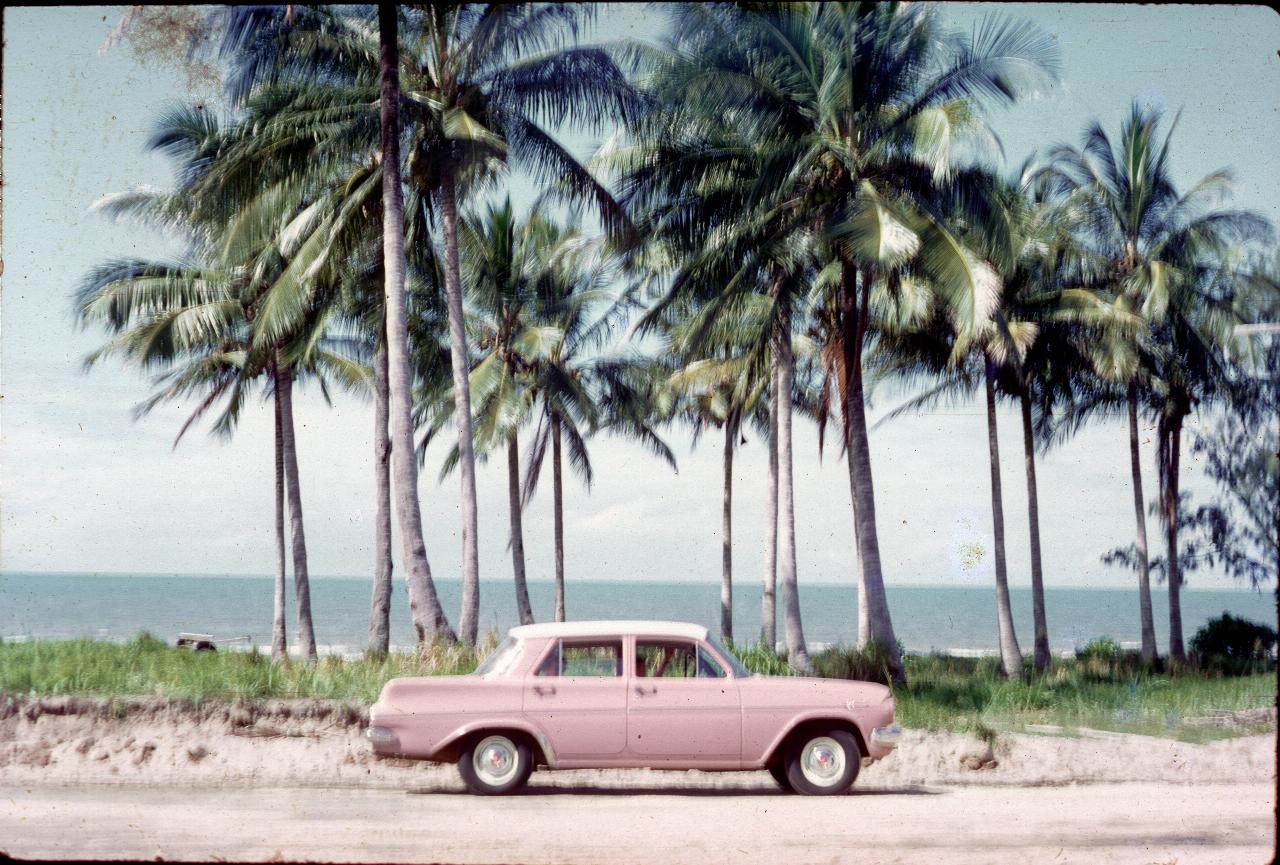 Car on edge of road; palm trees behind and beach and ocean behind them