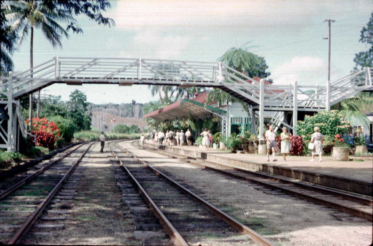 Empty track and train station bursting with plants