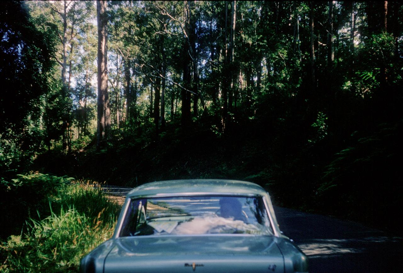 Light green metallic car on narrow road in forest