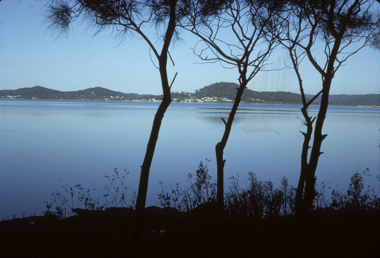 View through spindly trees across calm water distant hills with houses