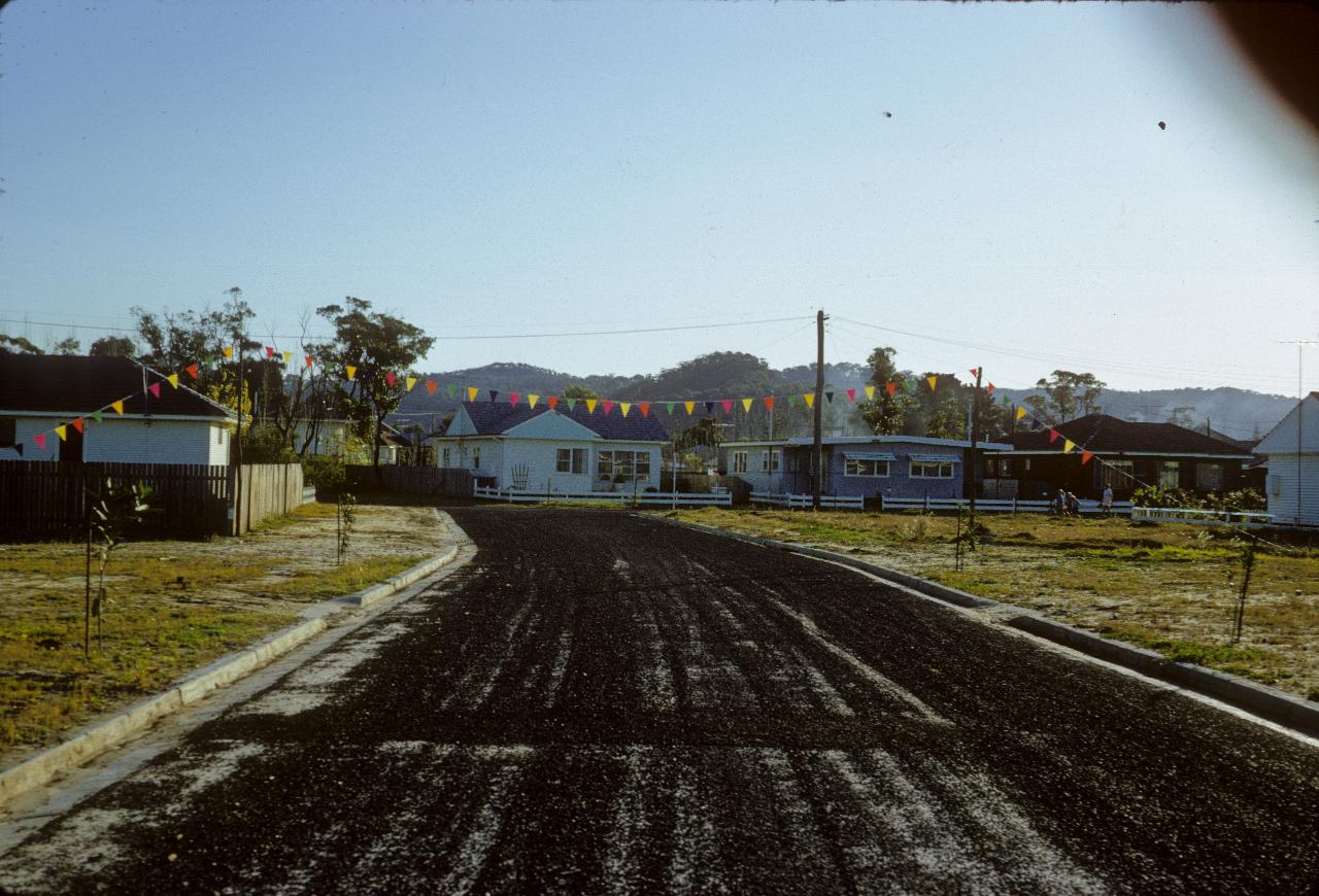 Road with flags at entrance to vacant blocks of land