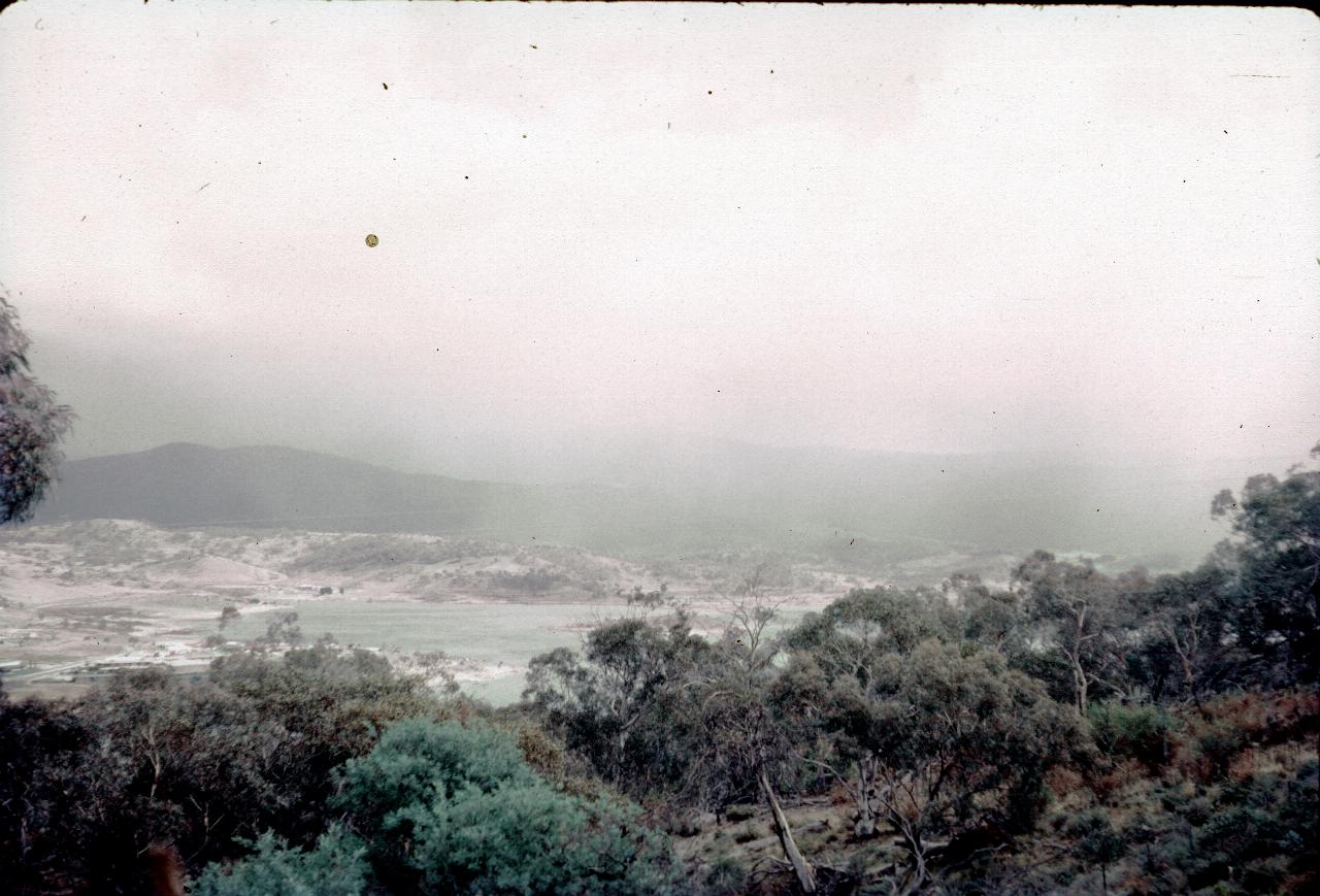 Bush scene mostly obscured by low clouds